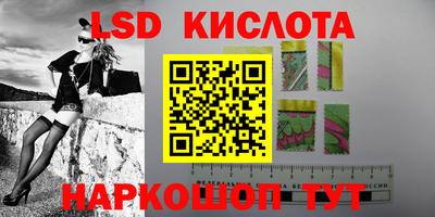 гидропоника Камышлов