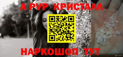 гидропоника Камышлов