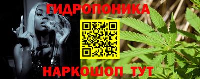 гидропоника Камышлов