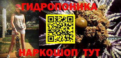 гидропоника Камышлов