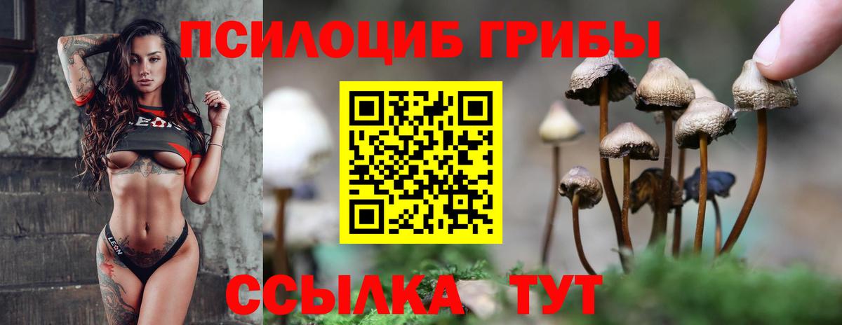 Юрга  Галлюциногенные грибы Psilocybe  Вход с VPN 